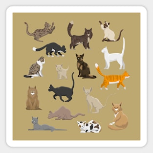 Cats collection Magnet